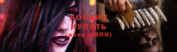 шишки Горнозаводск