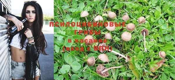 шишки Горнозаводск
