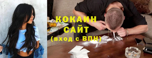 шишки Горнозаводск